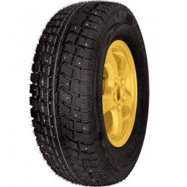 Vettore Inverno V-524